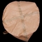 Ciment Scalpings Ton Bag Aggregate Polypropylene 1000kg de Brown
